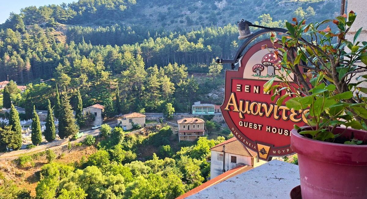 Amanites Gusthouse in Dimitsana. View from the balcony